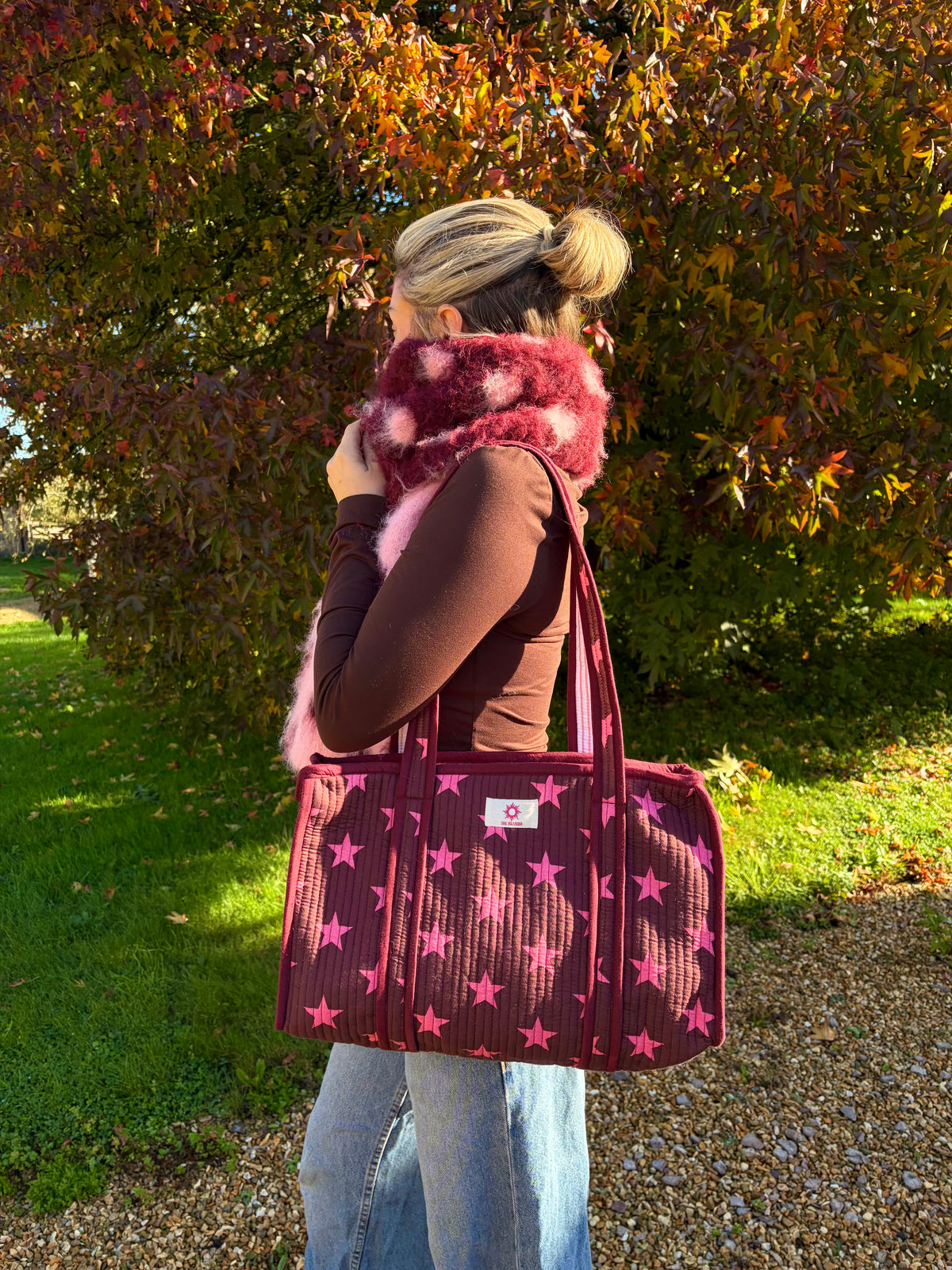 Burgundy & Pink Stars Compartment Midi