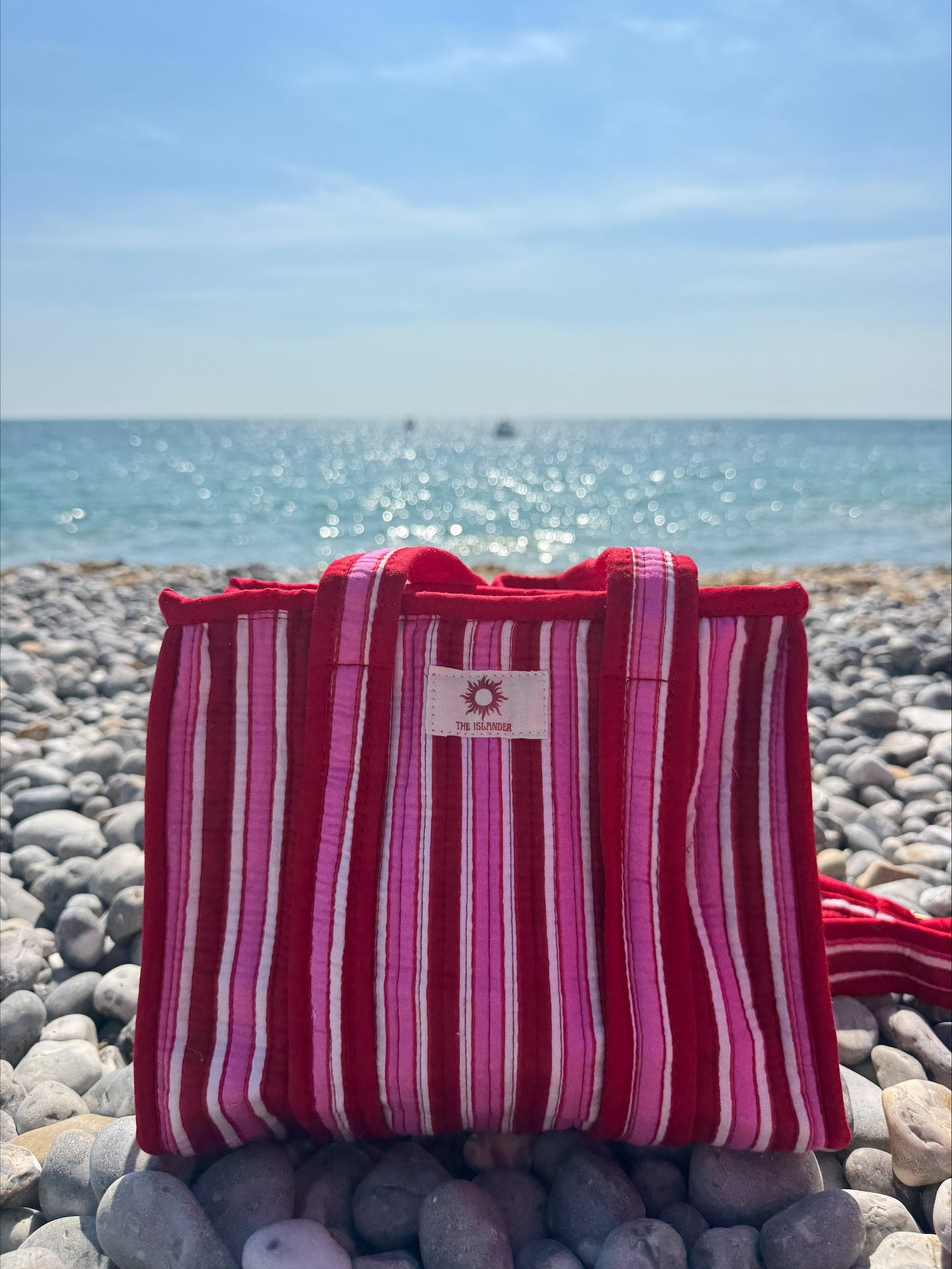 Pink & Red Stripe Mini Tote Bag