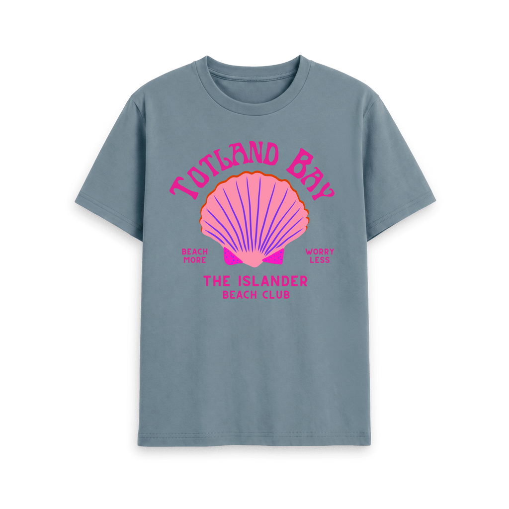 Stone Blue Printed T-shirt Front