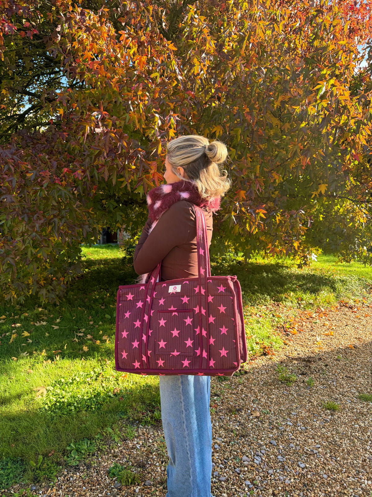 Burgundy & Pink Starts Compartment Organiser Tote