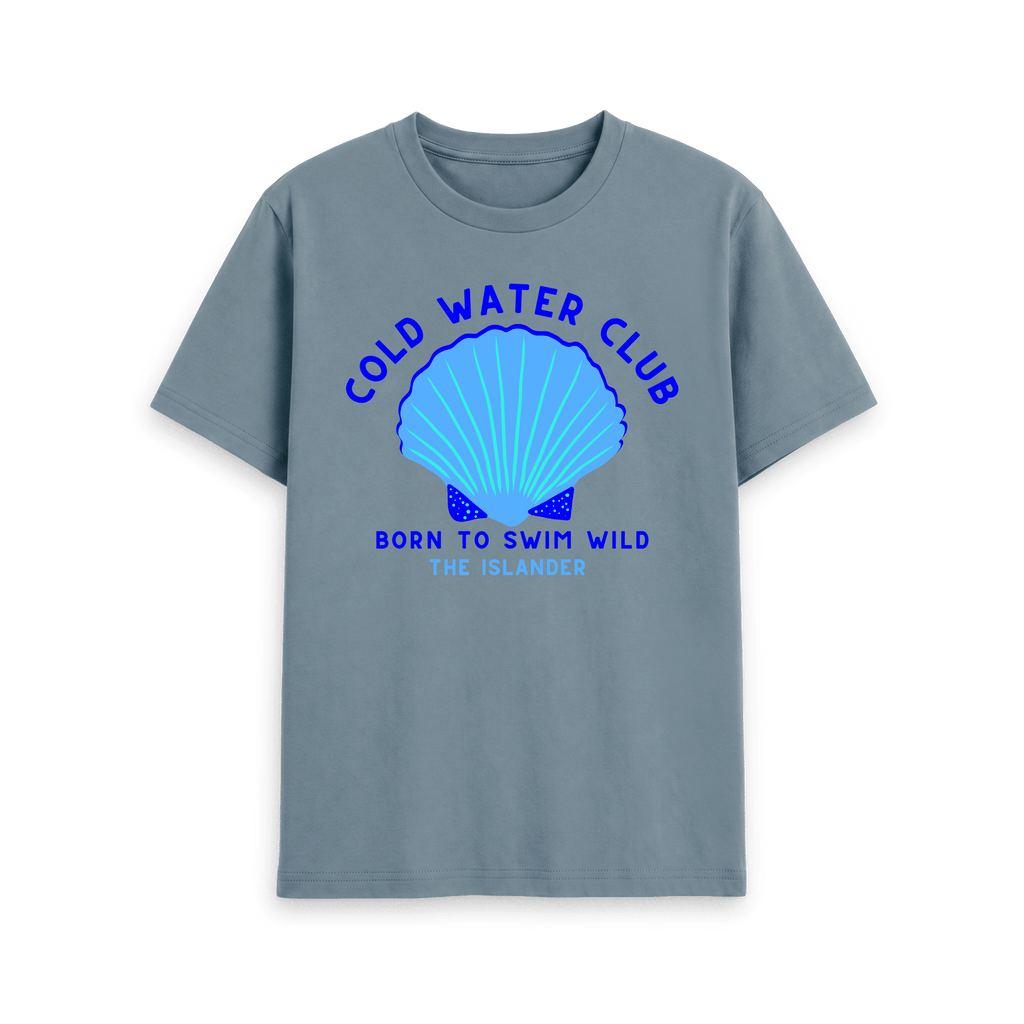 Stone Blue Printed T-shirt Front