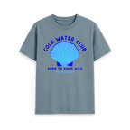 Stone Blue Printed T-shirt Front