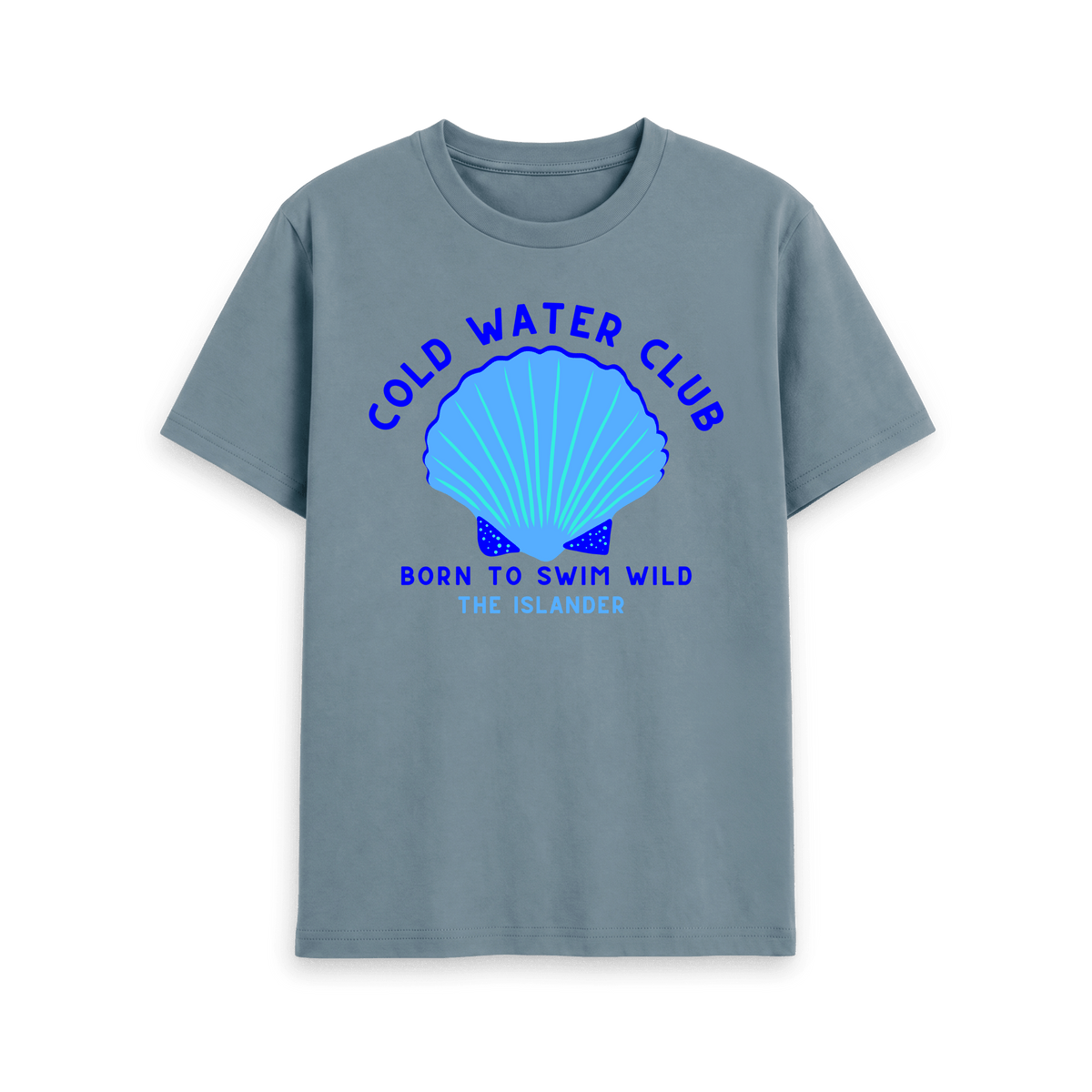 Stone Blue Printed T-shirt Front