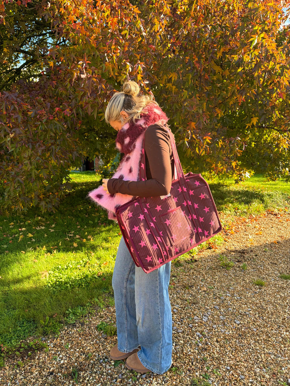 Burgundy & Pink Starts Compartment Organiser Tote