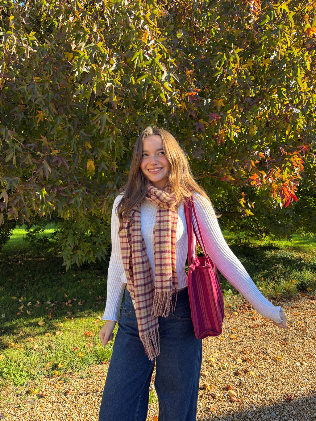 Burgundy Stripes Midi Compartment Tote Bag