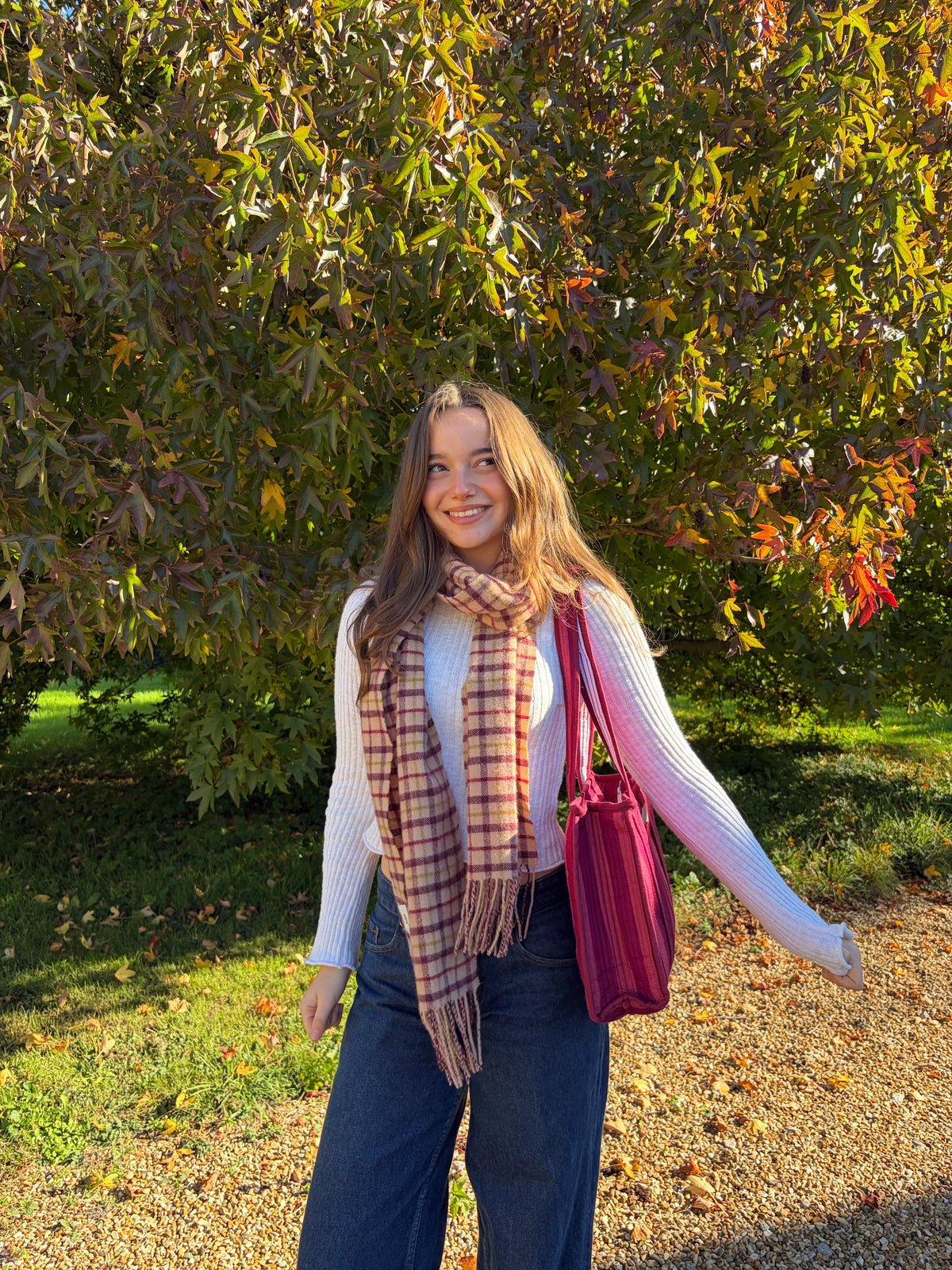 Burgundy Stripes Midi Compartment Tote Bag