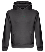 Heavyweight Premium Boxy Shape Hoodie - Wild Swim Embroidered - The Islander
