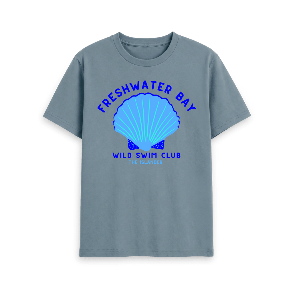 Stone Blue Printed T-shirt Front