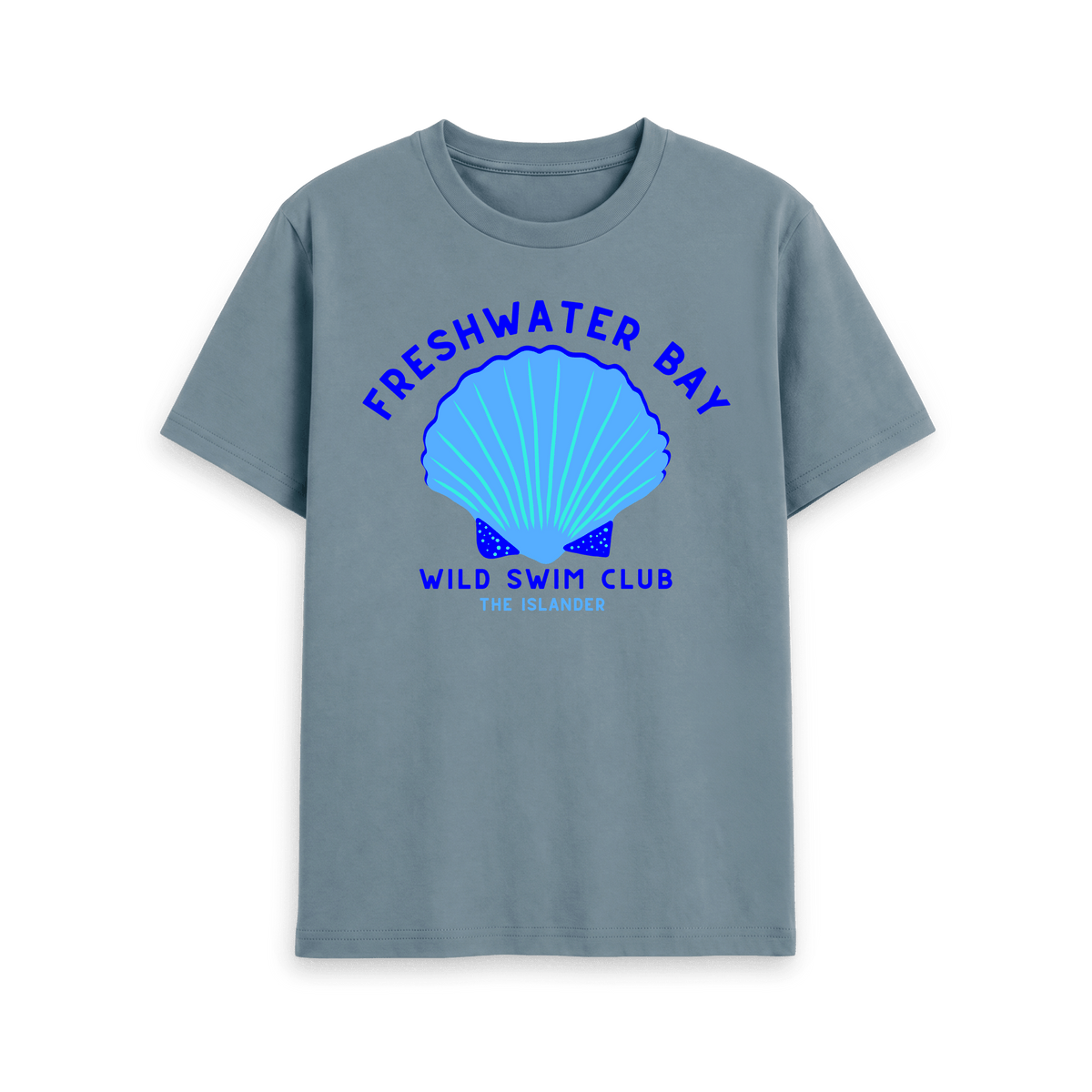 Stone Blue Printed T-shirt Front